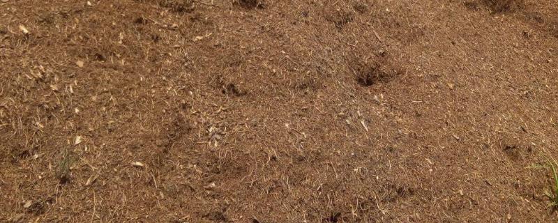 土的颗粒级配，颗粒级配曲线 土的颗粒级配曲线是什么
