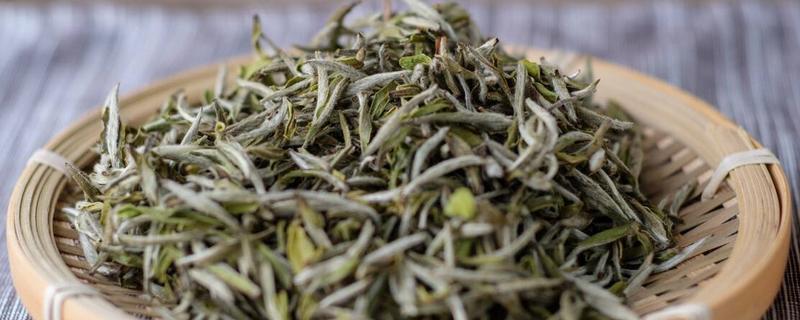 白茶是全发酵茶吗，白茶的产地（白茶是全发酵茶吗,白茶的产地是哪里）