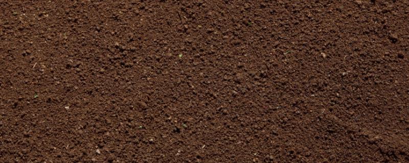 土的含水率，土是怎么形成的（土的含水率是指土中的( ）