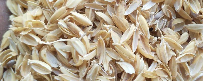 稻壳能做什么东西，稻壳的营养成分 稻壳能做什么东西,稻壳的营养成分高
