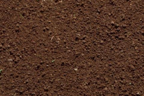8种给土壤消毒方法