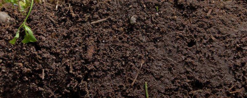 测土配方，测土配方施肥技术有哪些 测土配方施肥的意义和作用