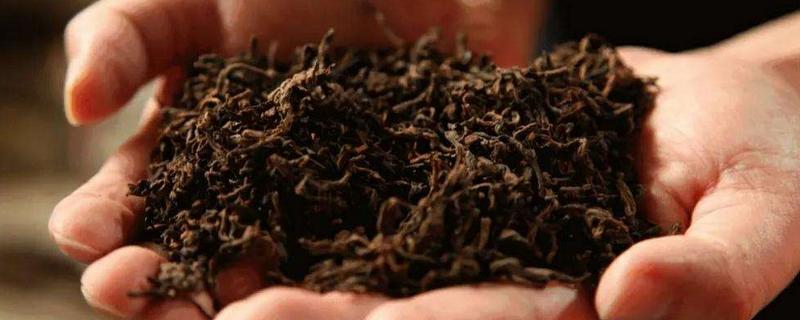 什么是茶叶发酵，附发酵原理 怎么解释茶叶发酵