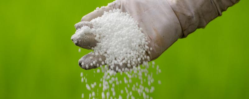 磷肥用于什么农作物，附使用方法 磷肥用于哪些农作物