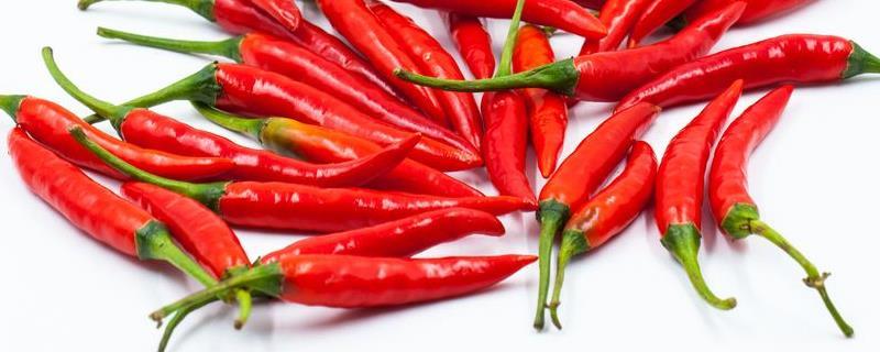 辣椒可以种植几年，附辣椒的品种 辣椒可以种植几年,附辣椒的品种吗