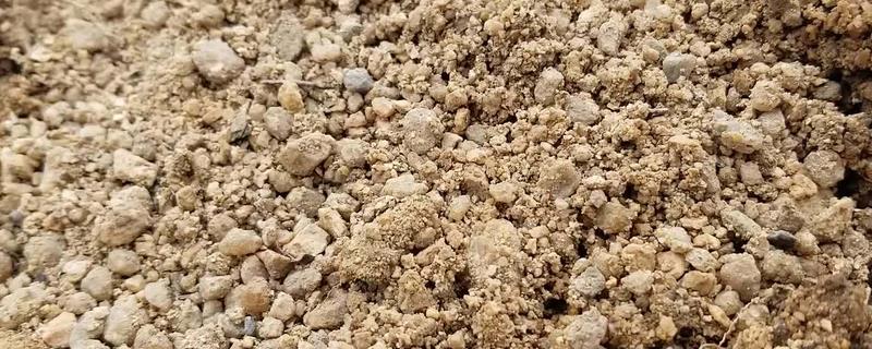 沙土的特点，适合种植什么作物 沙土土质适合种植什么