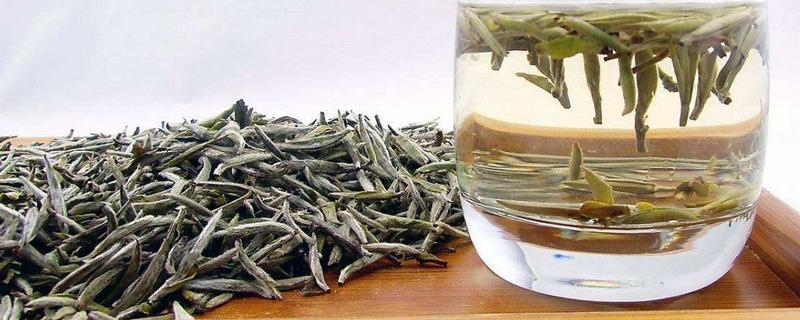 白茶发酵程度，属于什么茶类