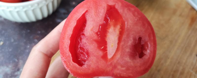 无子番茄可以遗传吗，无子番茄是利用什么原理