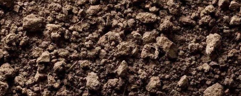 用来改良酸性土壤的碱，酸性土壤适合种什么