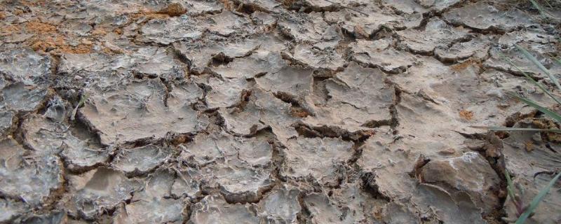 土壤次生盐渍化的发生原因是，土壤次生盐渍化的防治措施