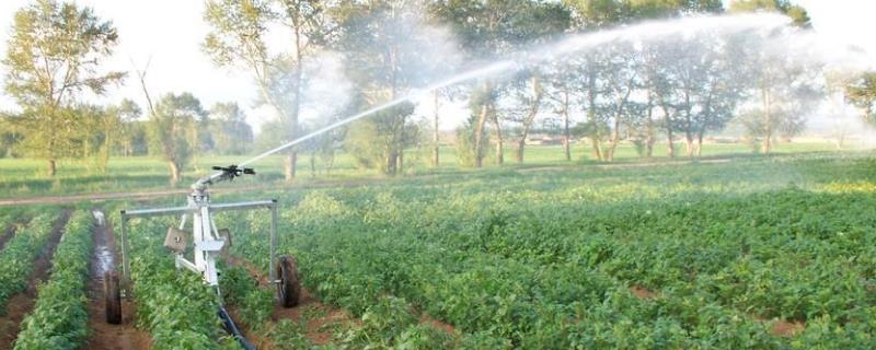 节水灌溉有哪几种，是干什么的 节水灌溉有哪三种