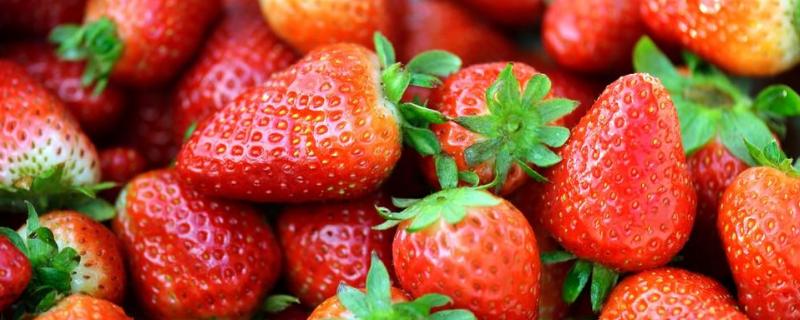 无土栽培草莓一亩投入多少，一亩大棚草莓利润多少