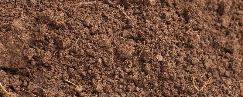 多菌灵土壤消毒方法及比例，多菌灵直接拌花土里可以吗