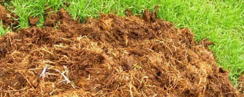 如何让杂草快速腐烂成有机肥，呕的肥属于什么肥