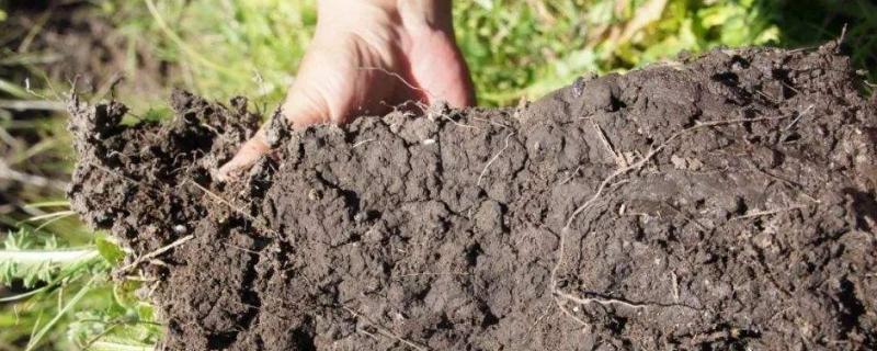 土壤孔隙有哪三种类型（土壤孔隙分为哪几种类型?各有何主要作用?）