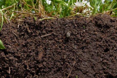 土壤孔隙有哪三种类型