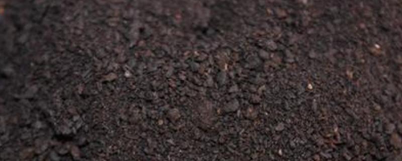 腐植酸肥料的作用，使用大忌是什么 腐植酸肥的作用及功能
