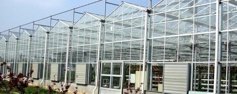 如何建造温室玻璃大棚，造价多少 温室玻璃大棚造价多少钱