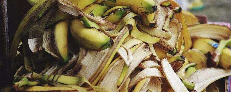 烂香蕉怎么做肥料（烂香蕉可以做花肥吗）