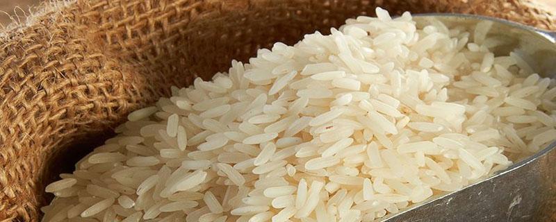 东北大米是水稻还是旱稻（水稻和东北大米的区别）