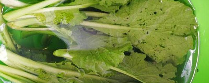 有虫眼的蔬菜说明没有打农药对吗 有虫眼的蔬菜就一定是安全的嘛