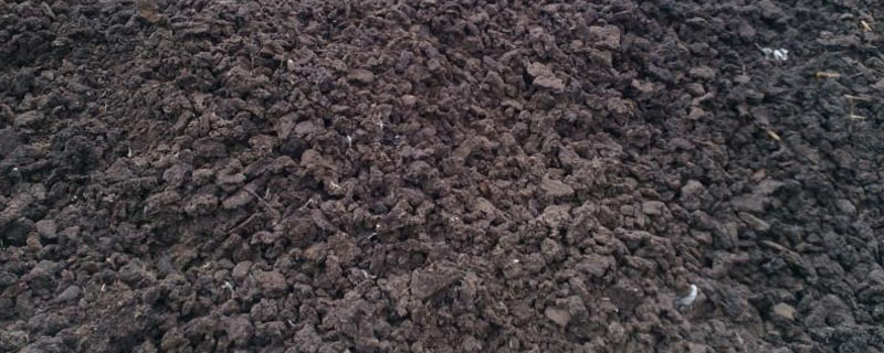 生物肥能代替肥肥吗 生物肥料能代替化肥吗