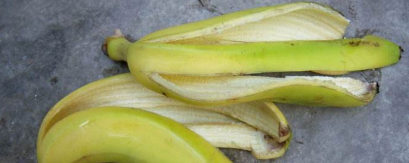 用香蕉皮自制钾肥（用香蕉皮制作肥料的方法）
