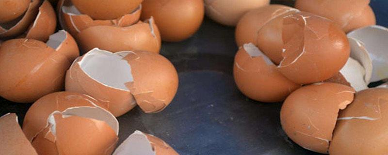 鸡蛋壳做肥料正确的做法（鸡蛋壳怎样做肥料）
