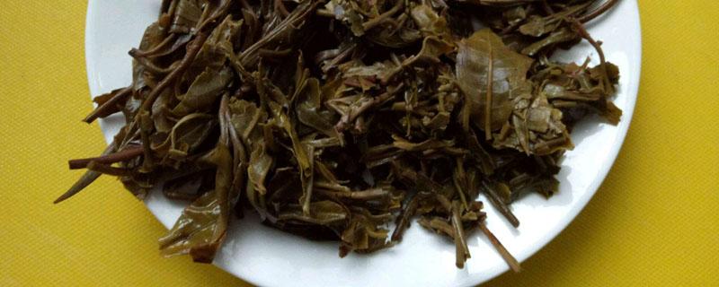 茶叶怎么发酵当肥料