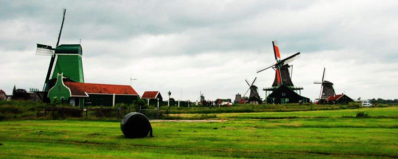 荷兰是第几大农业出口国（荷兰农业产量）