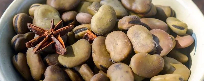 茴香豆和蚕豆的区别 茴香豆是蚕豆的别称吗