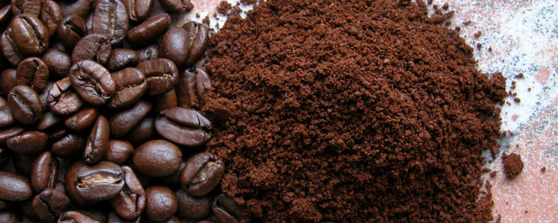 咖啡粉可以作肥料吗（咖啡粉可以做肥料吗）