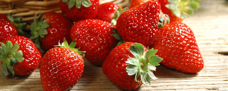 草莓在什么季节成熟 草莓是在哪个季节成熟的?