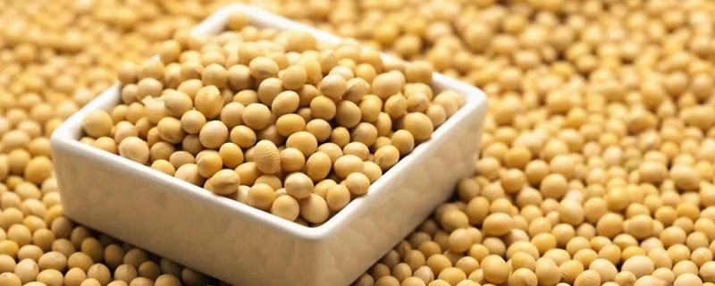 大豆沤肥属于什么肥 大豆沤肥主要成分