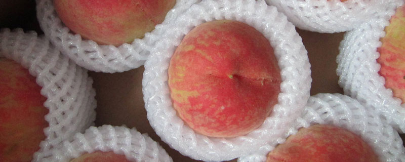 桃子怎么保存 桃子怎么保存能放时间长一点