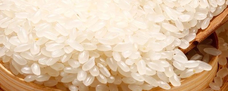 什么是粳米 什么是粳米和大米