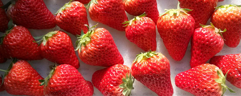 草莓怎么保存 草莓怎么保存到第二天
