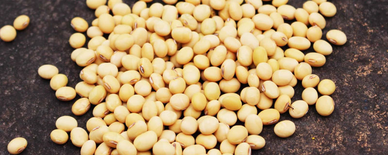 黑龙江大豆种植和产量