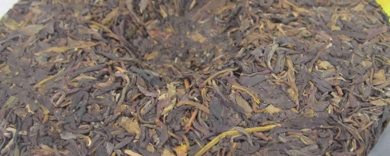 普洱茶是什么茶 普洱茶是什么茶树
