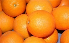 橙子百科（橙子搜狗百科）