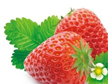 草莓百科（草莓百科知识）