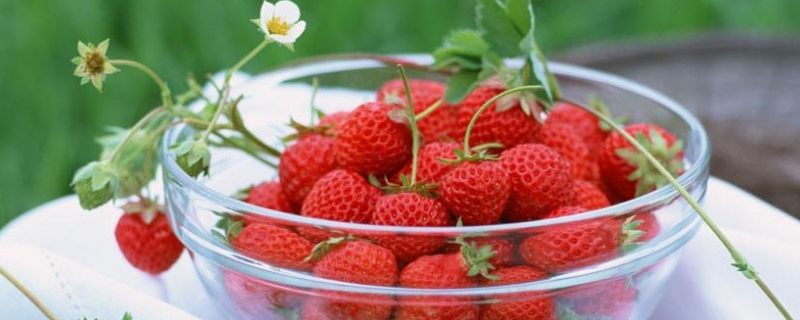 草莓果子小就红了是什么原因 草莓果子很小就红了