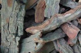酸枣树皮的功效与作用,酸枣树皮是什么,酸枣树皮的功效