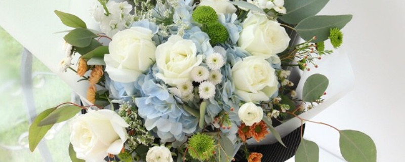 蓝绣球和白玫瑰搭配的意思 蓝绣球和白玫瑰搭配的意思男朋友送的