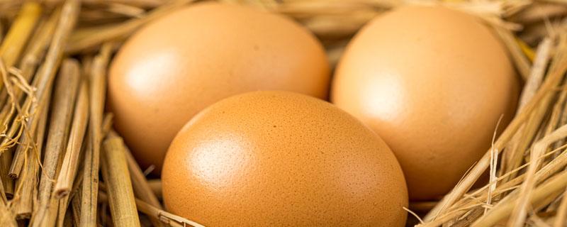 鸡为什么会下蛋 没有公鸡母鸡为什么会下蛋