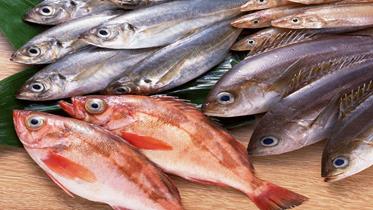鲢鱼的做法 鲢鱼的营养价值