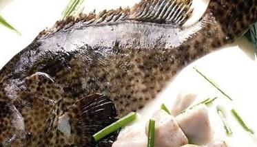 石斑鱼的营养价值 石斑鱼的营养价值及功效与作用