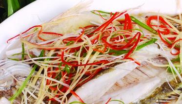 桂鱼的功效与作用 桂鱼的功效与作用及食用方法