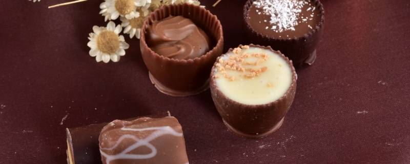 可可脂和巧克力有什么区别 代可可脂巧克力和巧克力有什么区别