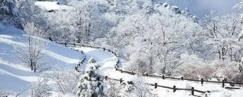 杭州为什么会下雪（杭州会经常下雪吗）
